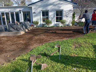 Kikuyu grass and etc