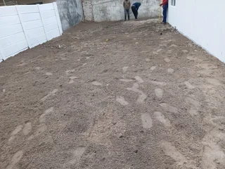 Kikuyu grass and etc