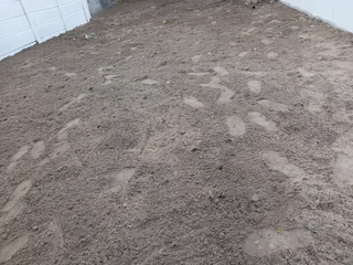 Kikuyu grass and etc