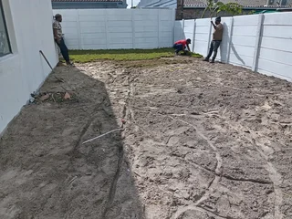 Kikuyu grass and etc