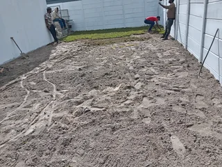 Kikuyu grass and etc