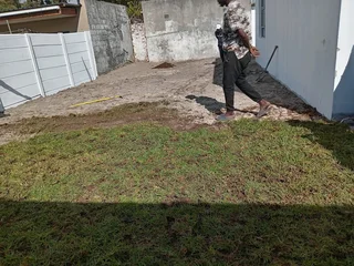 Kikuyu grass and etc