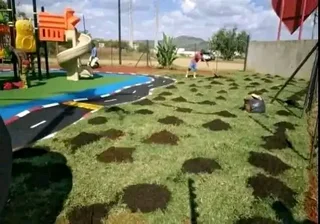 Compost, topsoil and Lawn dressing