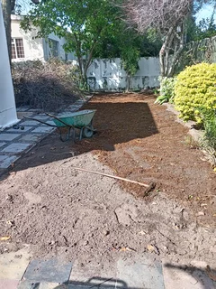 Kikuyu grass and etc