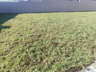 Kikuyu grass and etc