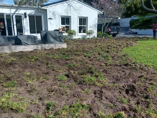 Kikuyu grass and etc