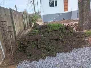 Kikuyu grass and etc