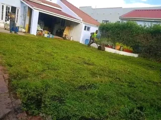 Kikuyu grass and etc