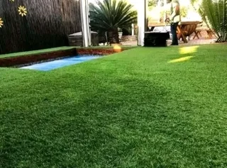 Kikuyu grass and etc