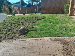 Kikuyu grass and etc is