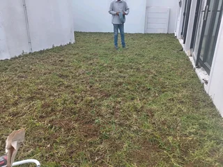 Kikuyu grass and etc is