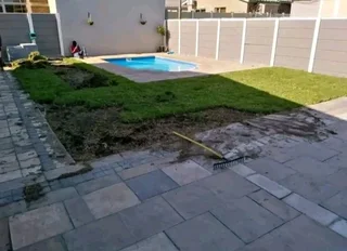 Kikuyu grass and etc