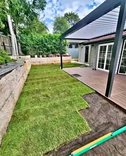 Kikuyu grass and etc