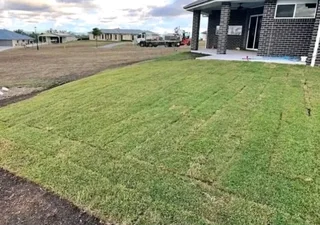 Kikuyu grass and etc