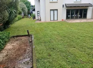 Kikuyu grass and etc