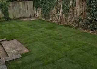 Kikuyu grass and etc