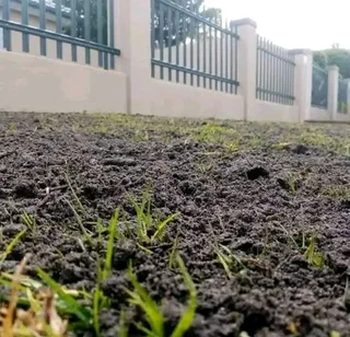 Compost, topsoil and Lawn dressing