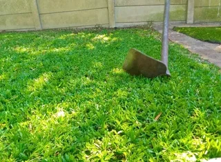 Lm Berea grass and etc