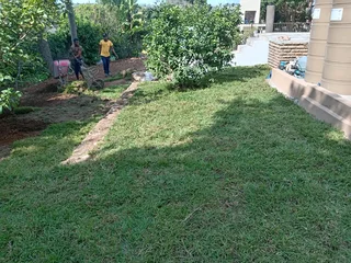 Lm Berea grass, kikuyu grass and etc