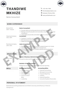 Professional CV Writing Service – Only R15