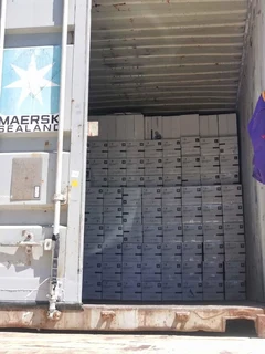 Nitrile Gloves -20000 Boxes Available - R100 a Box of 100