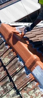 WE DO ROOF CLEANING AND PAINTING