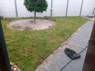 Kikuyu, LM Beria and Buffalo Grass Delivery and supply