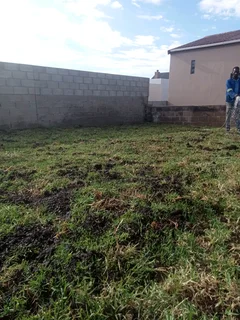 Kikuyu, LM Beria and Buffalo Grass Delivery and supply