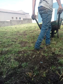 Kikuyu, LM Beria and Buffalo Grass Delivery and supply