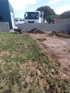 Kikuyu, LM Beria and Buffalo Grass Delivery and supply
