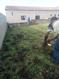 Kikuyu, LM Beria and Buffalo Grass Delivery and supply