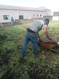 Kikuyu, LM Beria and Buffalo Grass Delivery and supply