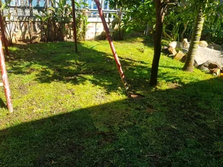 Kikuyu, LM Beria and Buffalo Grass Delivery and supply