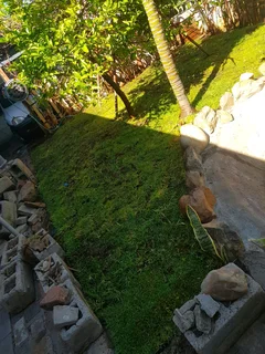 Kikuyu, LM Beria and Buffalo Grass Delivery and supply