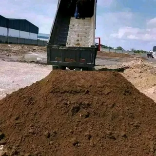 Kikuyu, LM Beria and Buffalo Grass Delivery and supply