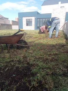 Kikuyu, LM Beria and Buffalo Grass Delivery and supply