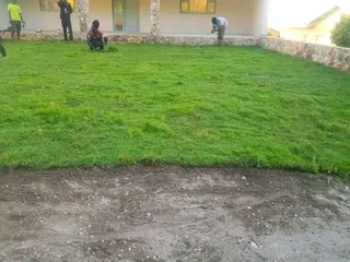 Kikuyu, LM Beria and Buffalo Grass Delivery and supply