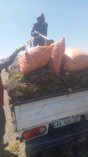 Kikuyu, LM Beria and Buffalo Grass Delivery and supply