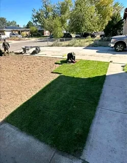 Kikuyu, LM Beria and Buffalo Grass Delivery and supply