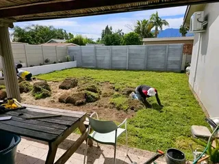 Kikuyu, LM Beria and Buffalo Grass Delivery and supply