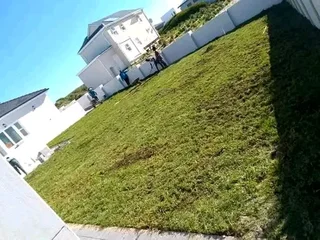 Kikuyu, LM Beria and Buffalo Grass Delivery and supply