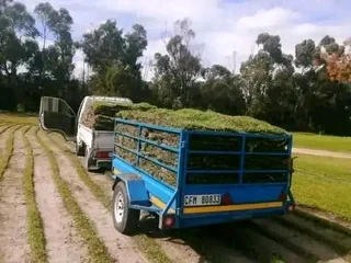 Kikuyu, LM Beria and Buffalo Grass Delivery and supply