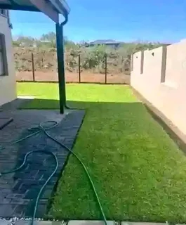 Kikuyu, LM Beria and Buffalo Grass Delivery and supply