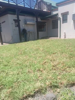 Kikuyu, LM Beria and Buffalo Grass Delivery and supply