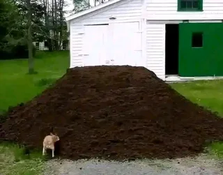 Topsoil, compost and Lawndressing