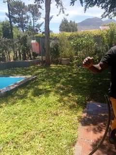 Kikuyu, LM Beria and Buffalo Grass Delivery and supply