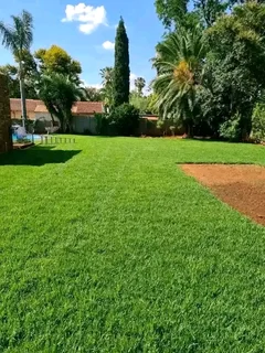 Kikuyu, LM Beria and Buffalo Grass Delivery and supply