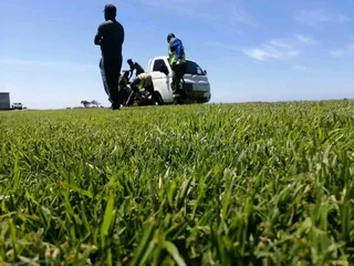 Kikuyu, LM Beria and Buffalo Grass Delivery and supply