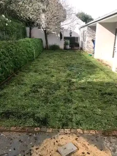 Kikuyu, LM Beria and Buffalo Grass Delivery and supply