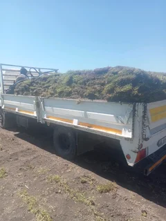 Kikuyu, LM Beria and Buffalo Grass Delivery and supply